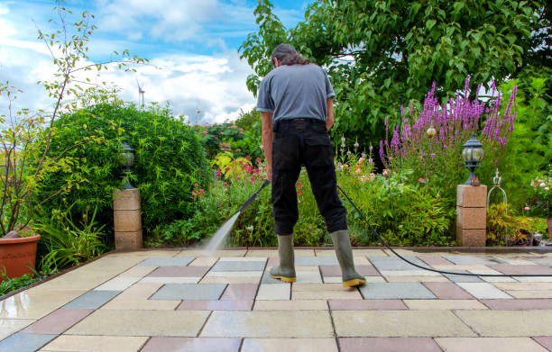 Best Pre-Holiday Cleaning  in Steamboat Springs, CO